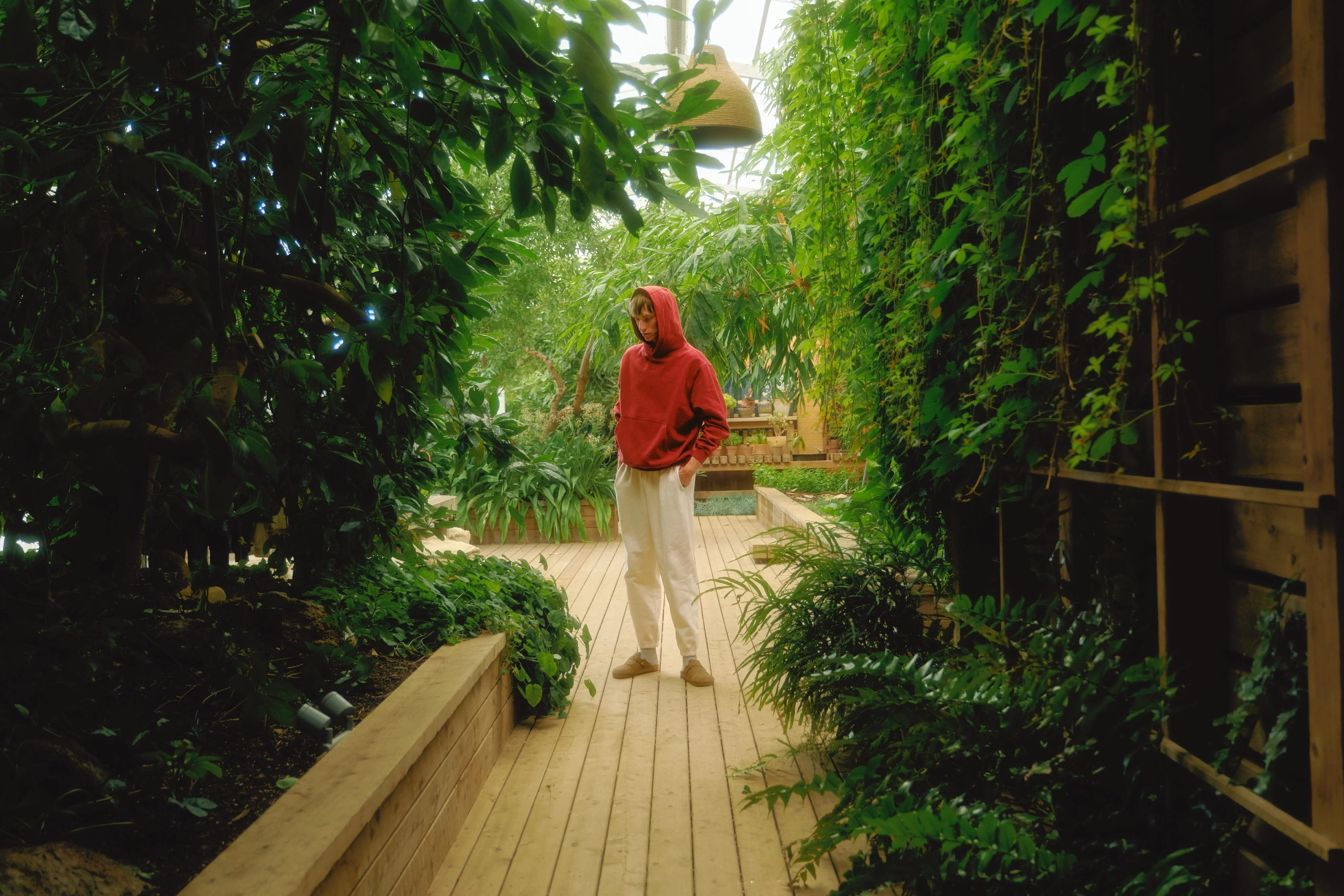 Unisex 100% Organic Cotton Pullover Hoodie - Image 8