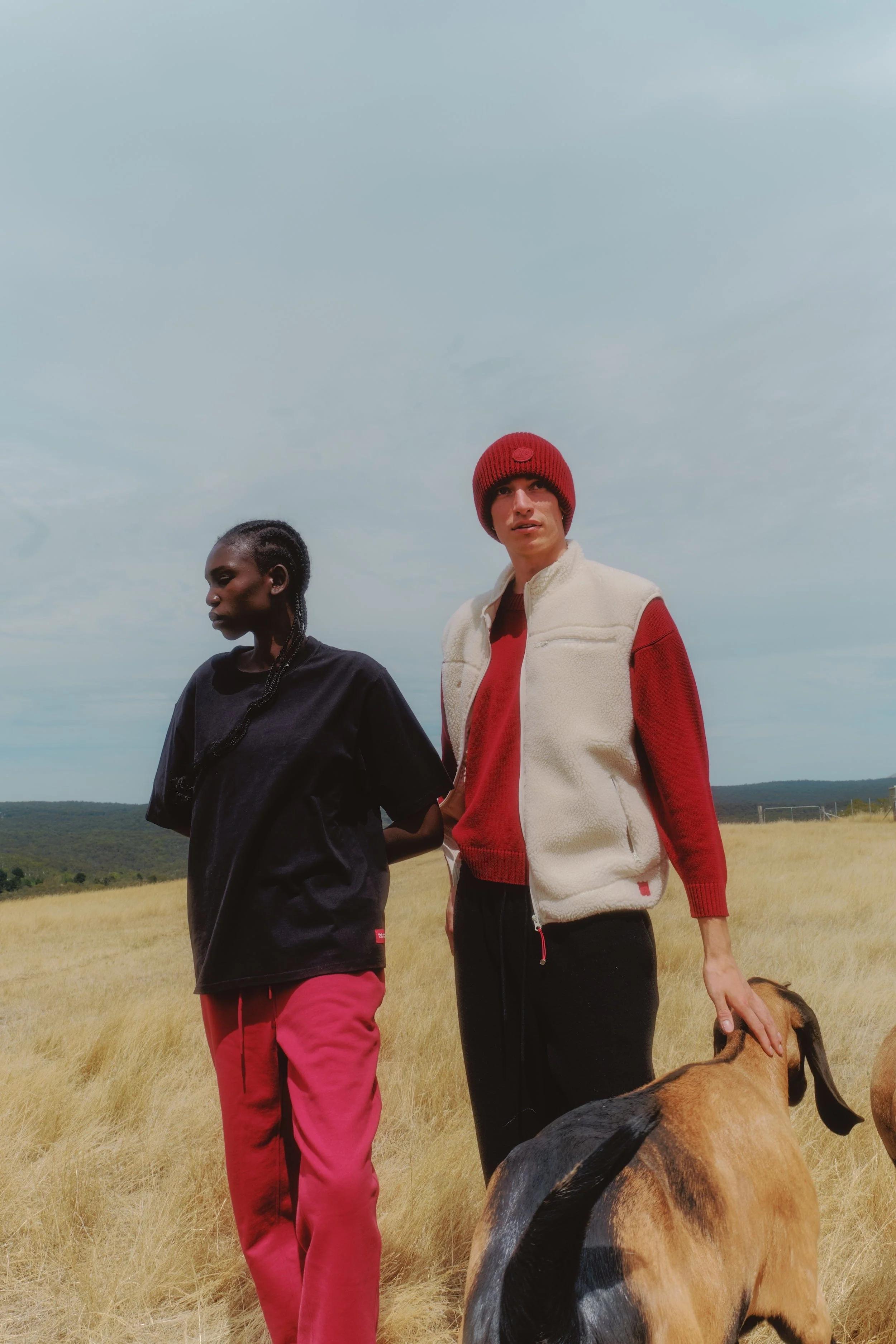 100% Organic Cotton Relaxed-Fit Track Pants - Image 10